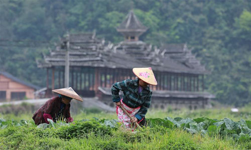 <b>谷雨将至农事忙</b>