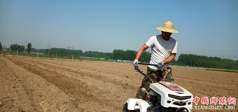 <b>陕西莲花寺镇白家河村：发展壮大村级集体经济  助推脱贫攻坚</b>
