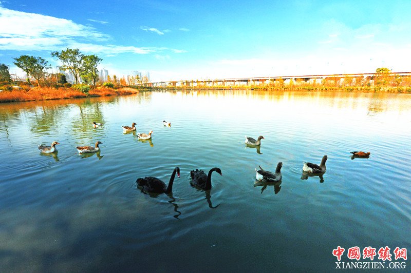 <b>阔别30年 遂宁将再演龙舟争霸</b>