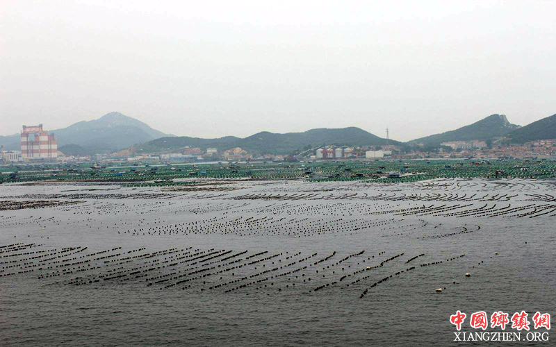 <b>广元确定养殖水域滩涂规划 2030年要从水里“捞”出30亿元</b>