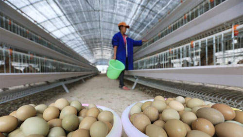 <b>特色养殖助脱贫</b>