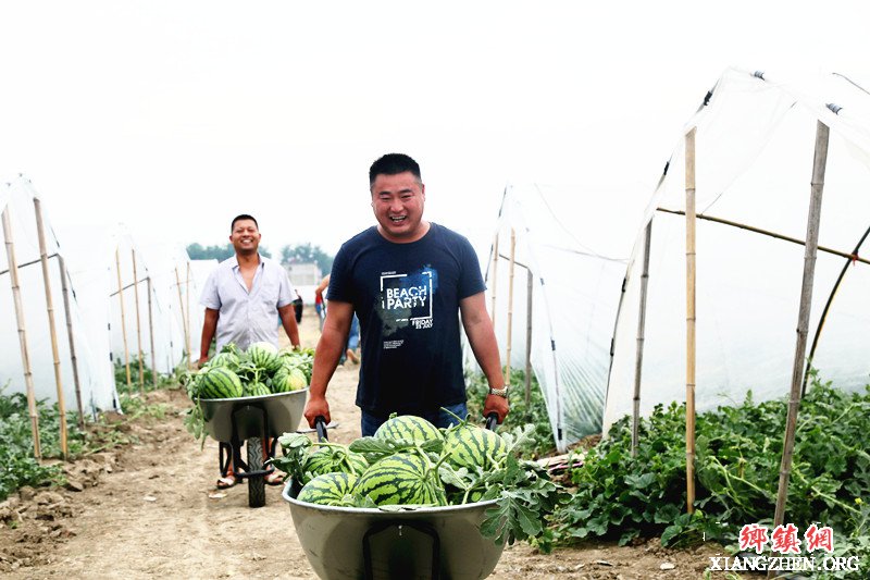 <b>安徽颍东：西瓜丰收了</b>