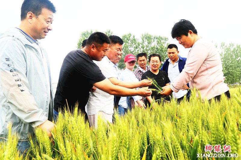 <b>安徽颍东：展示观摩 评比优劣</b>