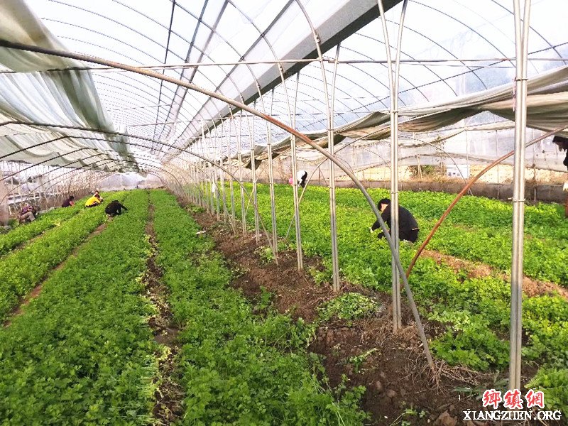 <b>以“绣花”功夫绣就脱贫攻坚“工笔画”</b>