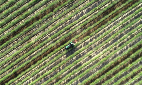 <b>小满农事忙</b>