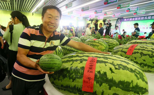 <b>西瓜上擂台</b>