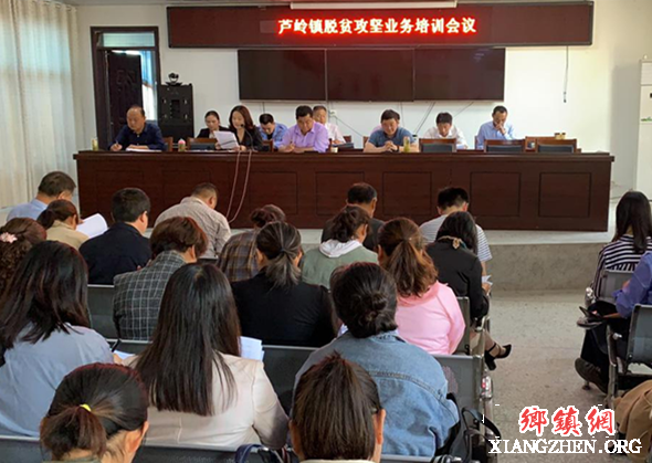 <b>安徽：芦岭镇多措并举开展扶贫业务培训</b>
