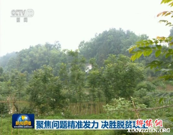 <b>聚焦问题精准发力 决胜脱贫攻坚</b>