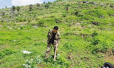 <b>独臂青年成英豪 400亩荒山变青山</b>