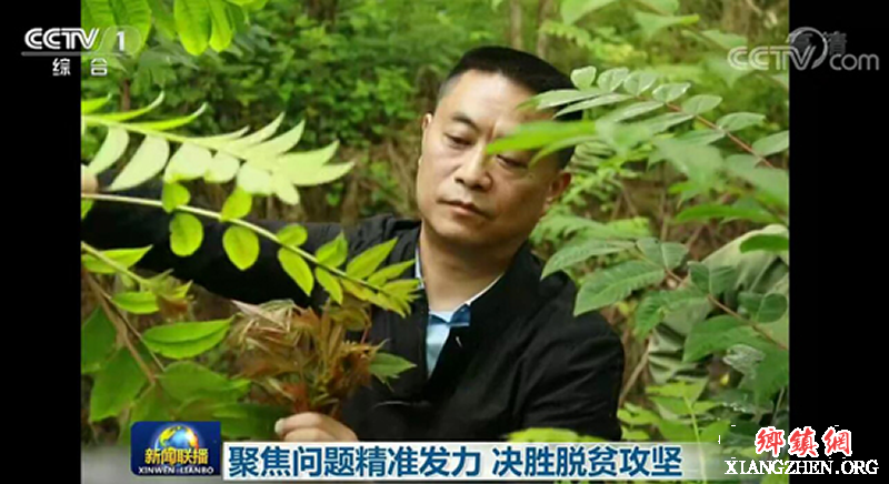 <b>达州大竹脱贫攻坚工作获央视《新闻联播》关注</b>