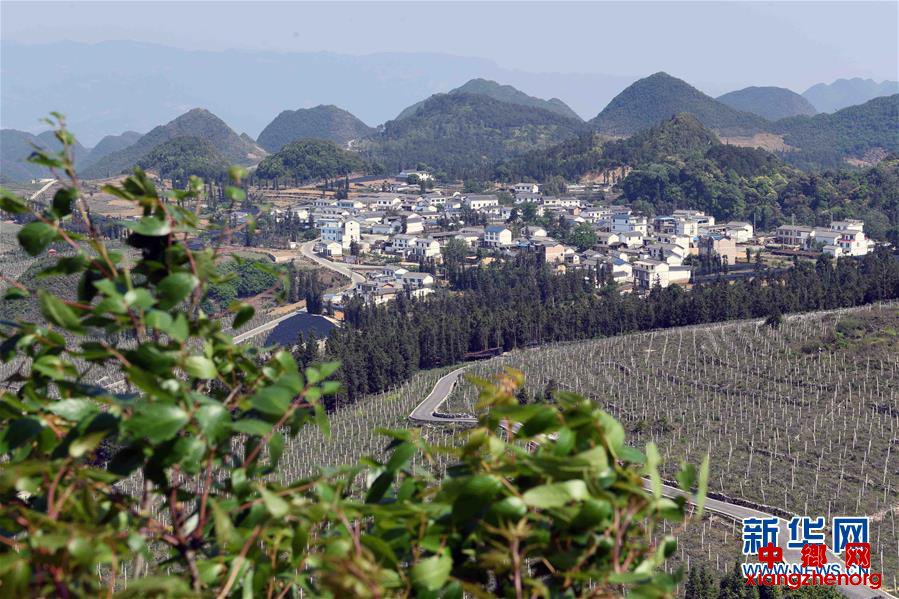 云南西畴县脱贫记：“石头地”里种出新希望