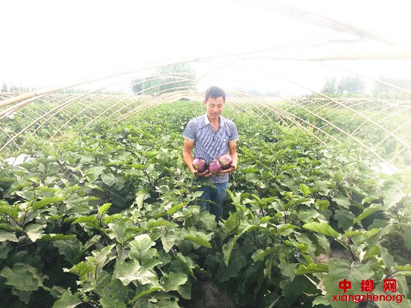 脱贫致富路 产业来助推