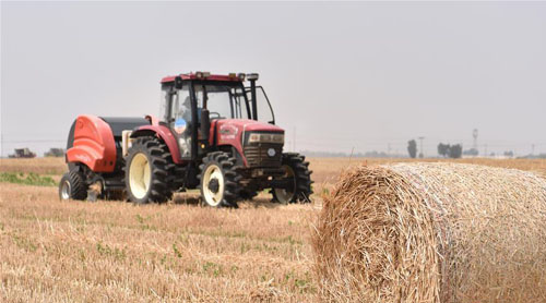 <b>秸秆回收 变废为宝</b>