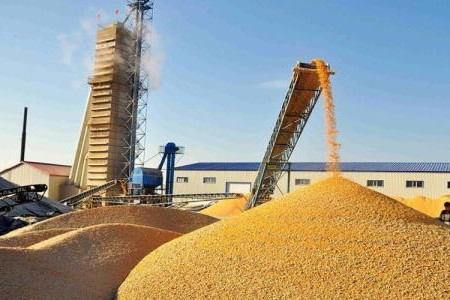 <b>国家粮食和物资储备局：粮食年工业总产值突破3万亿元</b>