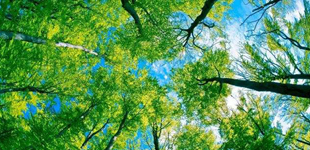 提升环保自觉 崇尚绿色生活（人民时评）