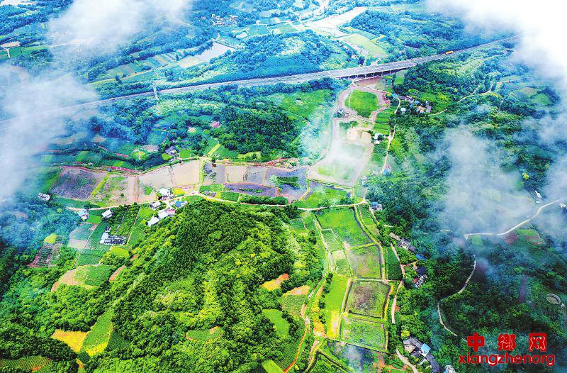 <b>简阳：云雾下的稻虾田已成规模</b>