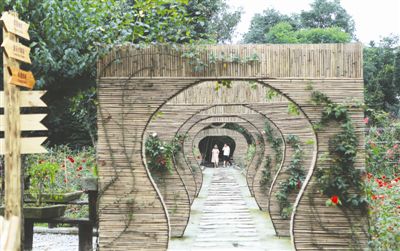 <b>5亿投入撬动120亿投资 背后的“杠杆”是什么？</b>