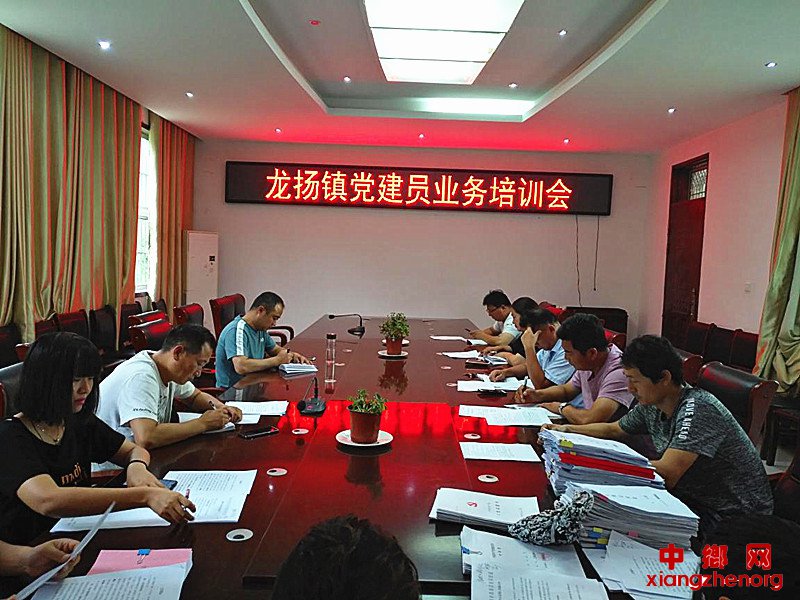 <b>安徽龙扬：召开党建业务培训会</b>