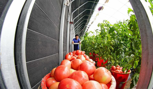 <b>产业扶贫播散“新希望”</b>