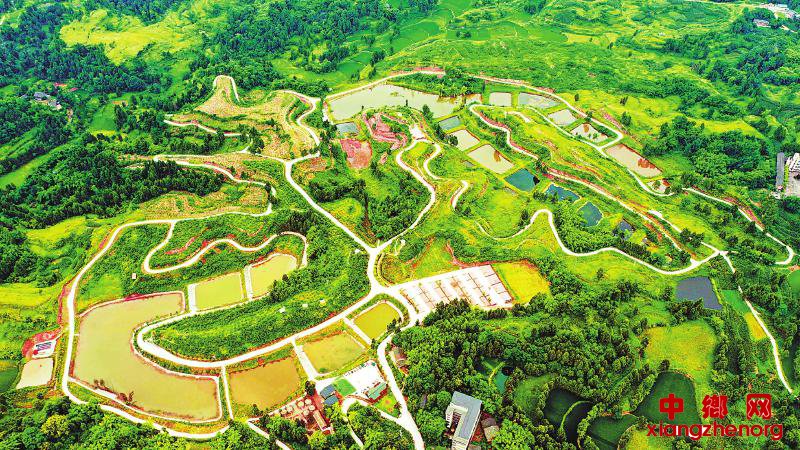 <b>广安：农旅结合带富一方群众</b>