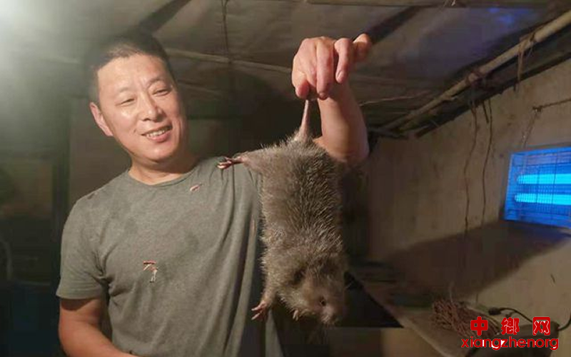 <b>杨明：返乡养竹鼠 三年圆了创业梦</b>