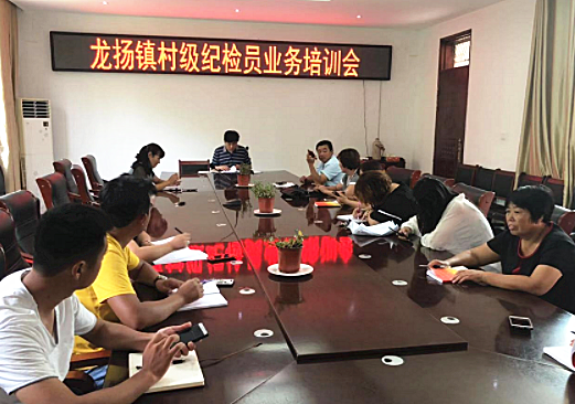 <b>安徽龙扬：开展村级纪检员业务培训</b>