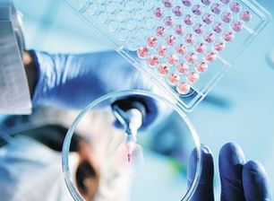 <b>我国已建成574个肿瘤登记监测点</b>