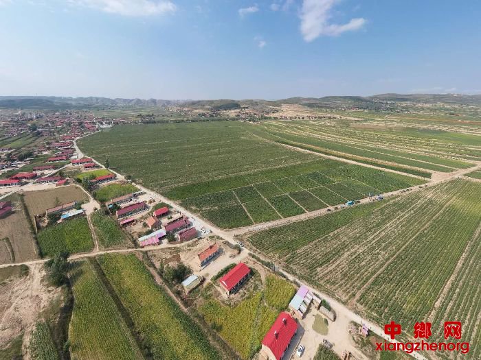 <b>海原县王塘村：为脱贫攻坚插上“科技翅膀”</b>