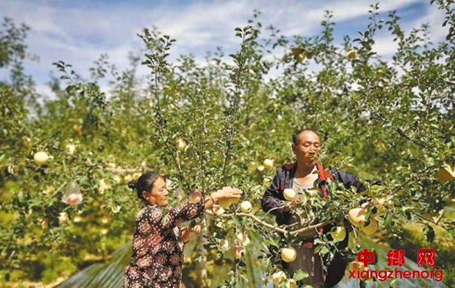 <b>甩掉贫困帽 向着幸福跑</b>