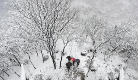 黑龙江：多地再迎降雪 提前开栓供暖