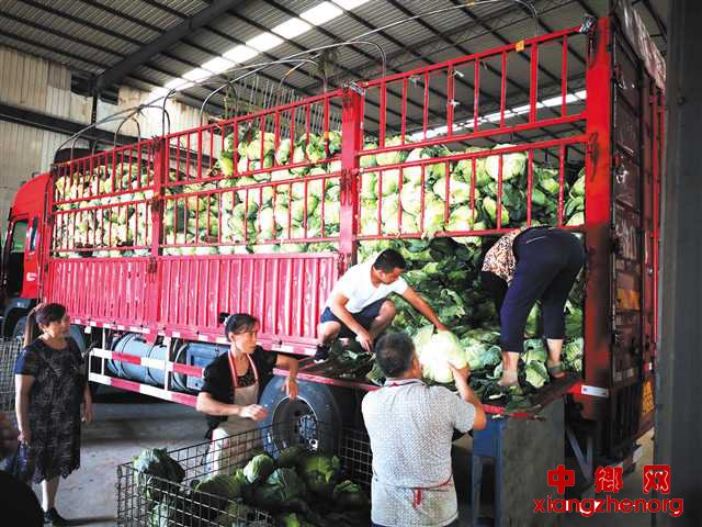 “村村旺”四级服务体系 激活三农发展新活力