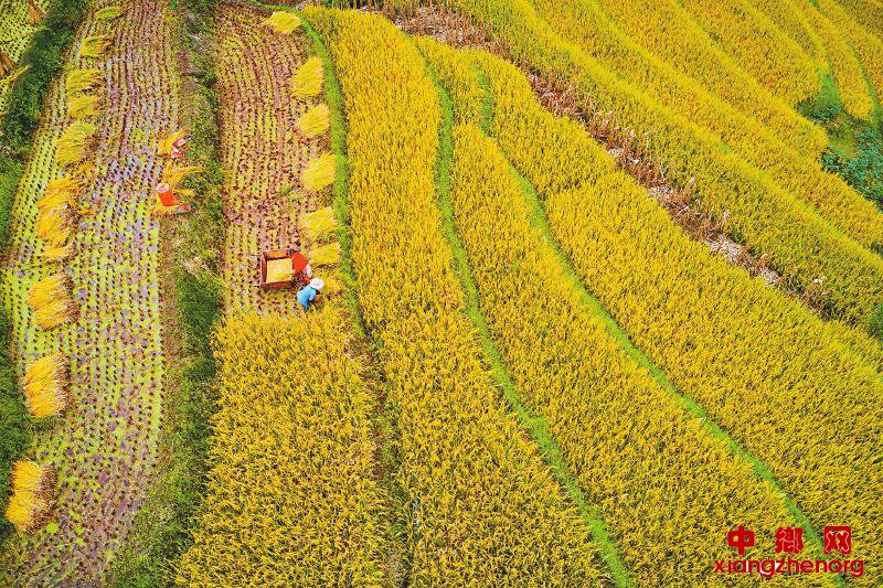 <b>“天全米仓”</b>