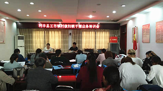 <b>安徽利辛：王市镇开展对村级妇联干部培训工作</b>