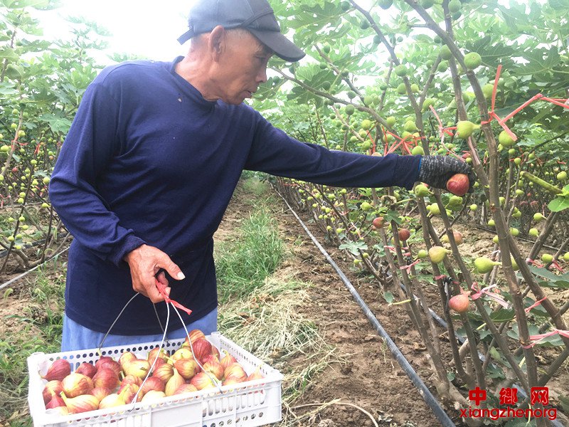 <b>王胚：漂亮的翻身仗</b>