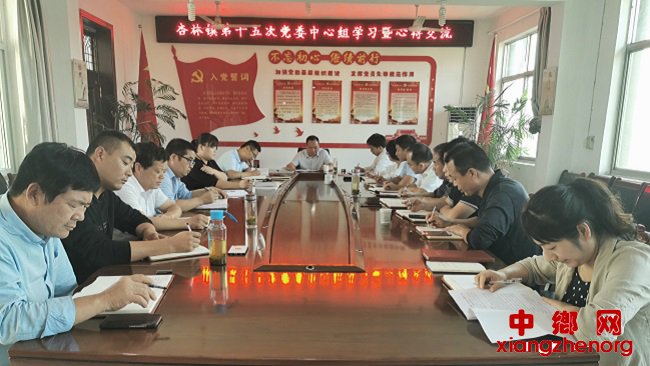 <b>陕西：杏林镇第十五次党委中心组学习暨心得交流会</b>