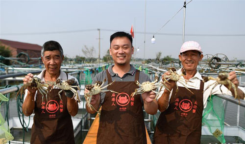 <b>太湖蟹迎丰收季</b>