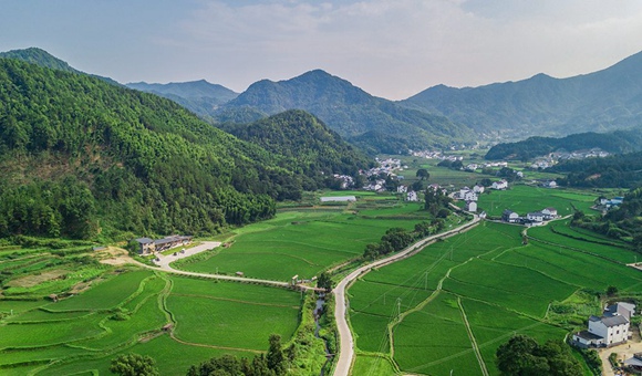 <b>“争相跳农门”为何变成“我要回农村”？</b>