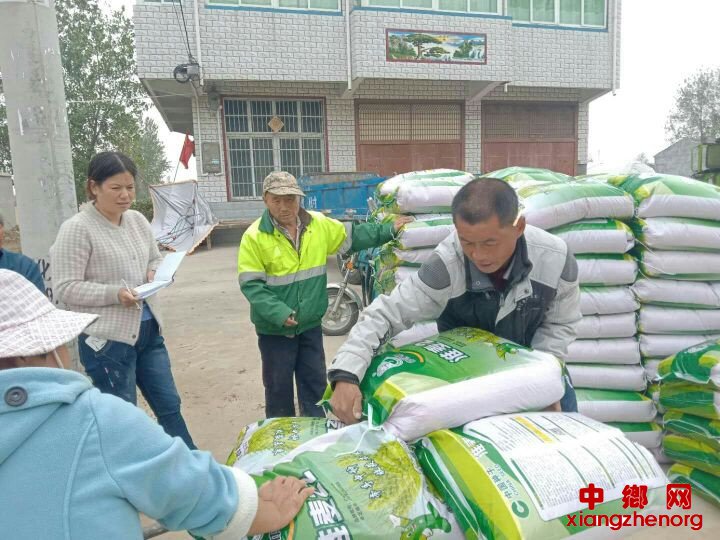 <b>安徽：阜阳颍东区枣庄镇6.8万亩小麦用上“金种子”</b>