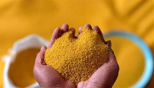 <b>太行山上的脱贫“金谷堆”</b>