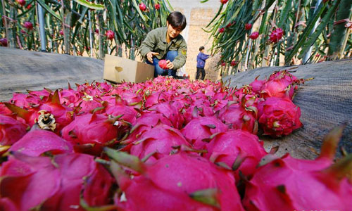 <b>冀东：“冬闲”变“冬忙”</b>