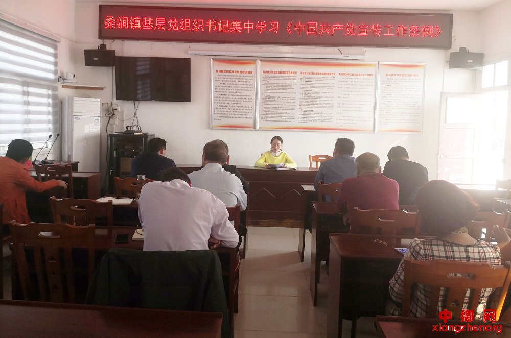 <b>安徽省定远县桑涧镇组织基层党组织书记集中学习《中国共产党宣传工作条例》</b>