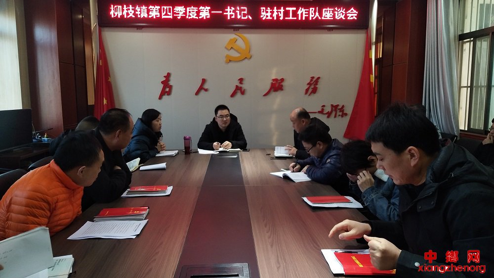 <b>陕西柳枝镇四季度第一书记、驻村工作队座谈会</b>