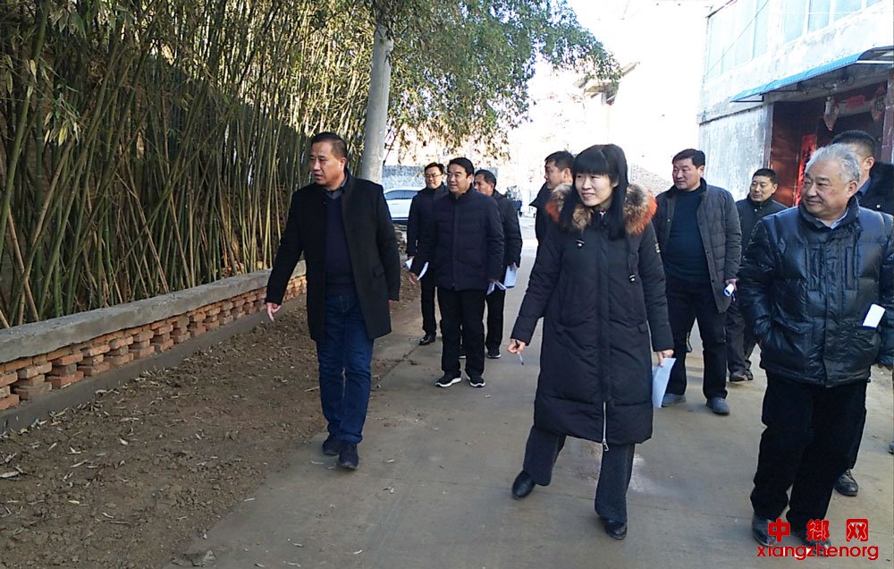<b>安徽省华佗镇：党建引领清洁工程，我们在行动</b>
