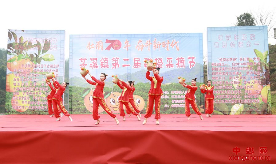 <b>四川省古蔺县茅溪镇：果园里的“橙橙橙”挂满枝，老百姓的收入“蹭蹭蹭”往</b>