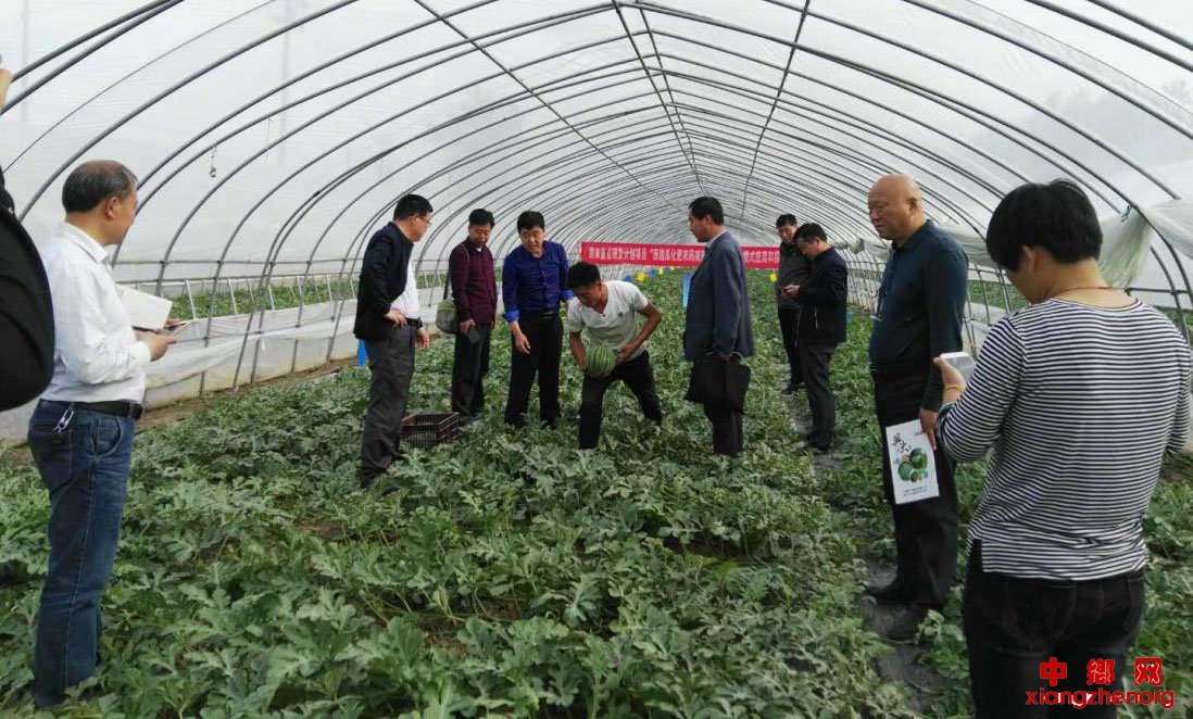 <b>安徽：记安徽省宿州市埇桥区大店镇三里村脱贫致富带头人张利道</b>