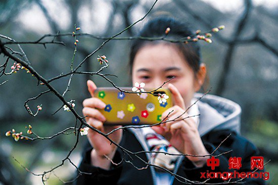 <b>寻找儿时的年味</b>