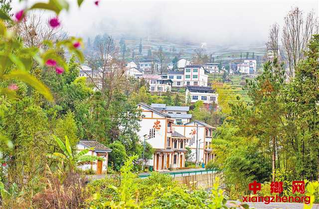 <b>小茶叶 大进取</b>