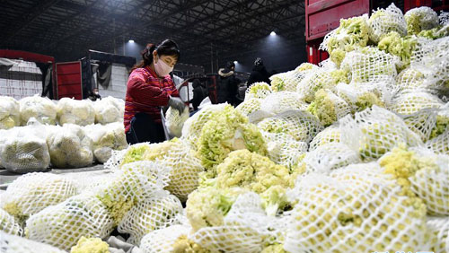 <b>山东寿光：积极保障蔬菜供应</b>