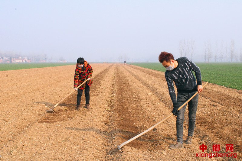 <b>人勤春来早 春耕备播忙</b>