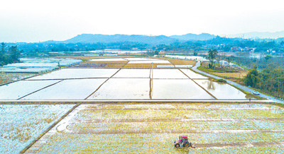 <b>扎实抓好春季农业生产</b>